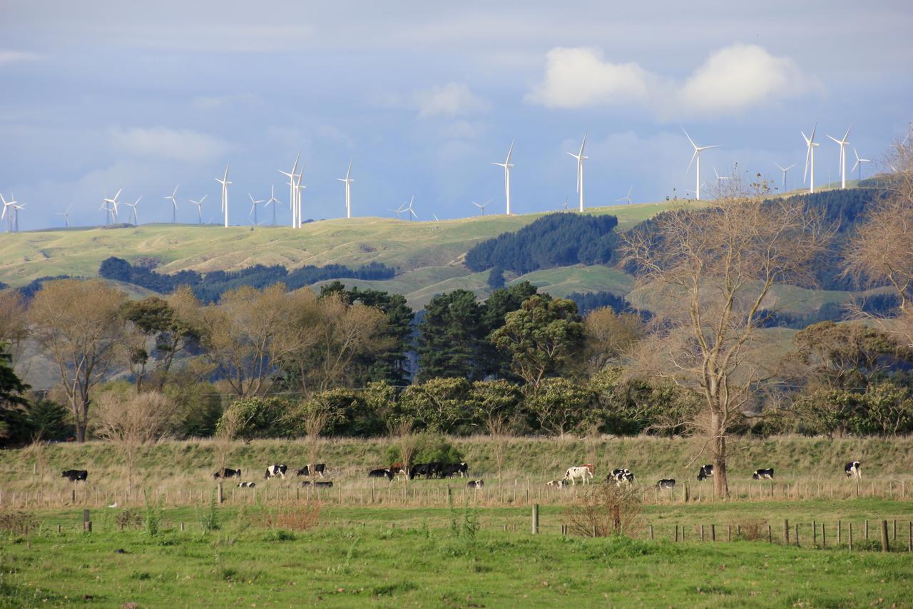 Refreshstay Palmerston North Zewnętrze zdjęcie