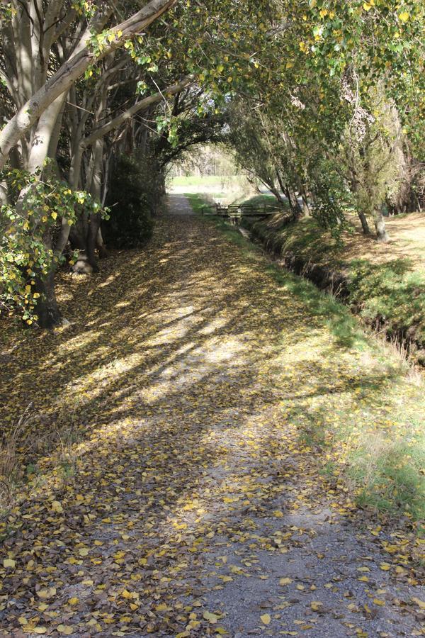 Refreshstay Palmerston North Zewnętrze zdjęcie