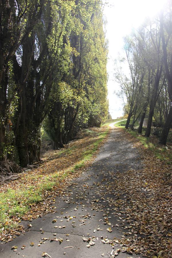 Refreshstay Palmerston North Zewnętrze zdjęcie